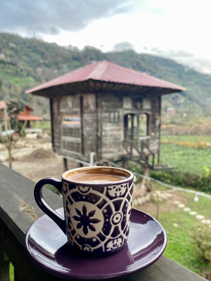 Aparthotel Zeni De Vore Serender&Apart Rize Exterior foto